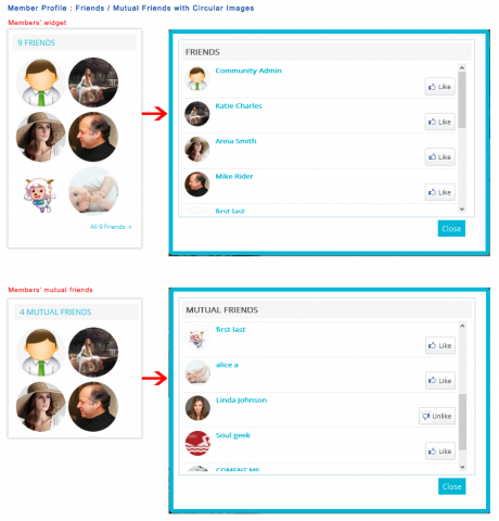 Member Profile: Friends / Mutual Friends with Circular Images