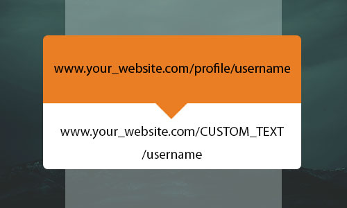Custom-User-Profile-URL