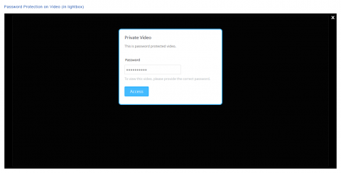 Password Protection on Video (in lightbox)