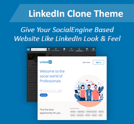 New Release: LinkedIn Clone Theme - Gives LinkedIn Look & Feel for Your Website!
