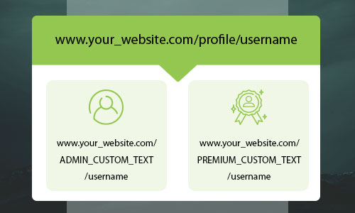 User-Profile-URL-Based-on-Member-Levels