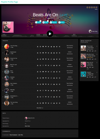Playlist Profile Page