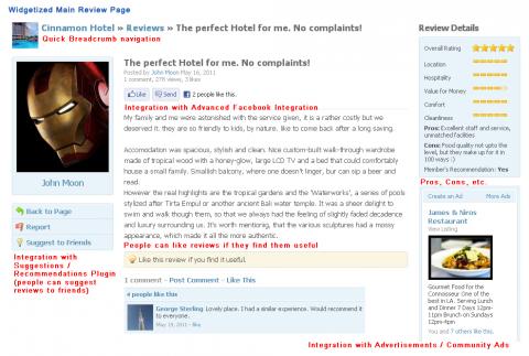 Widgetized Main Review Page