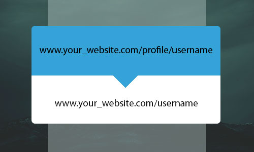 Automatically-Shorten-the-User-Profile-URL